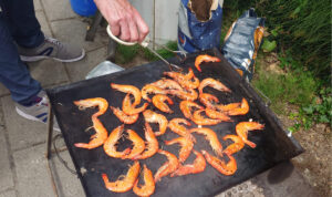 日蘭ネット思い出